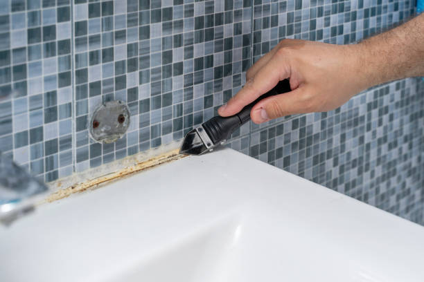 Best Post-Remediation Services in Needville, TX