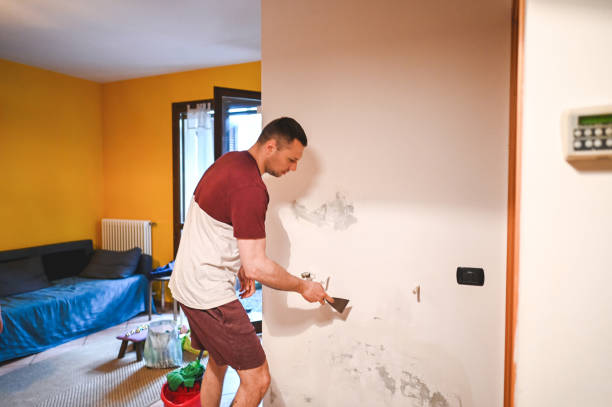 Needville, TX Mold Remediation Company